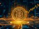 Bitcoin Evolution Review