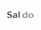 Was bedeutet Saldo